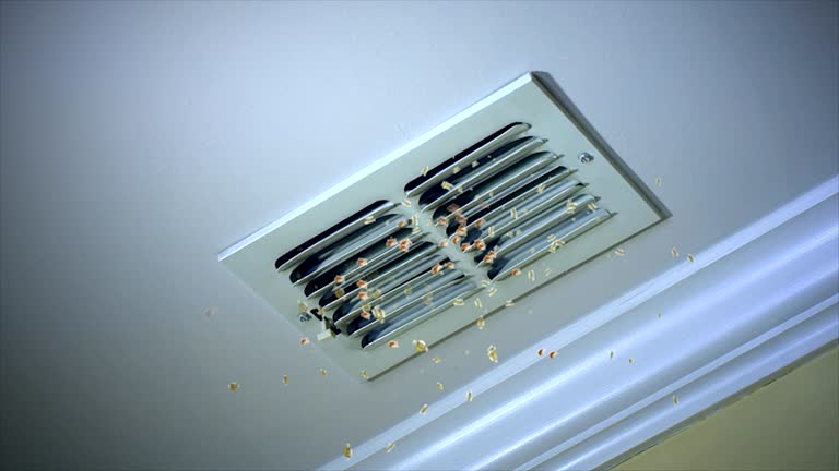 Best Ventilation Cleaning Services  in Jonesville, LA